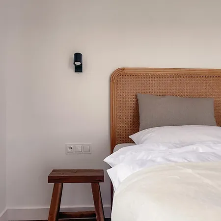 Kaczor Nad Jeziorem Mecidol