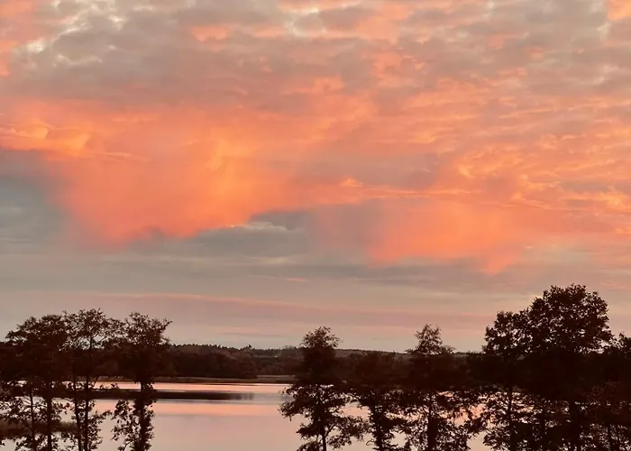 Kaczor Nad Jeziorem Mecidol