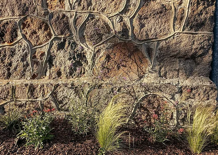 Kaczor Nad Jeziorem בית הארחה